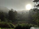 MVIMG_20180810_080859.jpg