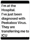 peekaboo.png