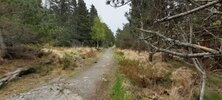 IMG_4796.jpeg