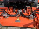 IMG_7995.jpeg IMG_7995.jpeg