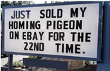 1779021308780.png