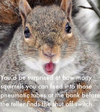 1779065909573.png