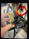 IMG_0401.jpeg