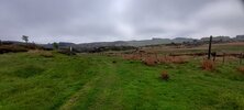 IMG_4817.jpeg