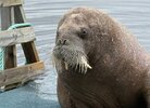 IMG_4842.jpeg