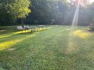 IMG_1584.jpeg