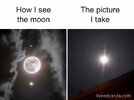 1780848035219.jpeg