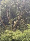 IMG_1397.jpeg