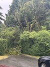 IMG_1398.jpeg