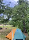 IMG_7906.jpeg