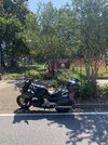 IMG_8470.jpeg IMG_8470.jpeg