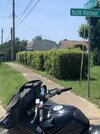 IMG_8474.jpeg