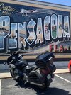 IMG_8473.jpeg