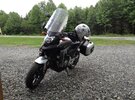 IMG_0010.jpg
