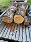 IMG_1122.jpeg