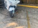 IMG_2701.jpeg