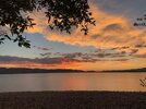 IMG_3164.jpeg