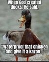 IMG_0397.jpeg