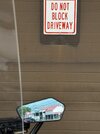 IMG_4355.jpeg