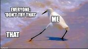 1783436664571.jpeg