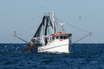 trawler_372970669.jpg trawler_372970669.jpg