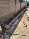 20260716_southwallPlanter.jpg 20260716_southwallPlanter.jpg