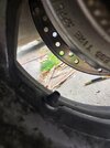 20260716_172604.jpg 20260716_172604.jpg