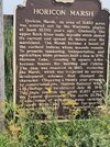 IMG_20260719_102826610.jpg