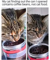 1784631966432.png 1784631966432.png