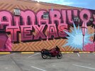 IMG_7373.jpg