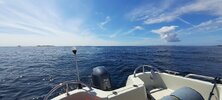 IMG_4928.jpeg