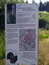 DSC_0077.JPG DSC_0077.JPG