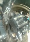 IMG_20260815_165421.jpg