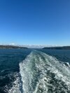 IMG_6009.JPG