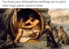 1787140380246.jpeg