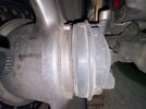 IMG_6197.jpeg