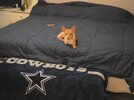 IMG_20260823_050206.jpg