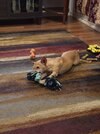 IMG_20260823_070256.jpg
