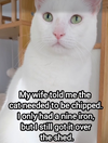 1787696836093.png
