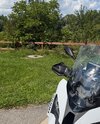 IMG_2717.jpeg