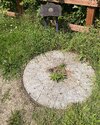 IMG_2718.jpeg