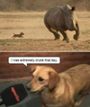 1788015990039.png