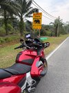 IMG_6911.jpeg