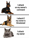 1788547824364.png