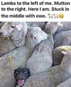 1788552892366.png