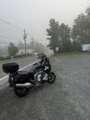 IMG_5113.jpeg IMG_5113.jpeg
