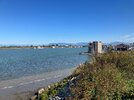 IMG_2717.jpeg