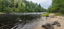 IMG_4980.jpeg