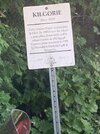 IMG_3489.jpeg