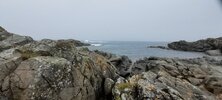 IMG_4997.jpeg IMG_4997.jpeg